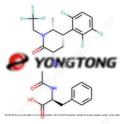 (3S,5S,6R)-3-Amino-6-methyl-1-(2,2,2-trifluoroethyl)-5-(2,3,6-trifluorophenyl)piperidin-2-one N-acetyl-L-phenylalaninate