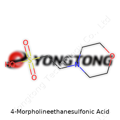 4-Morpholineethanesulfonic Acid