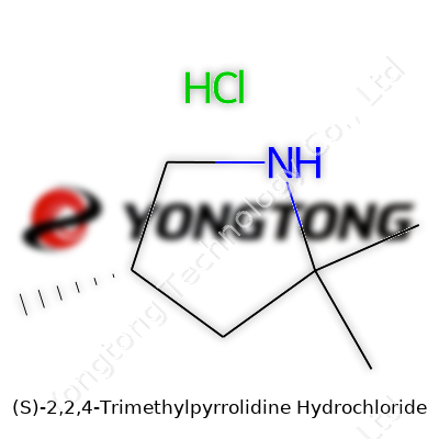 (S)-2,2,4-Trimethylpyrrolidine Hydrochloride