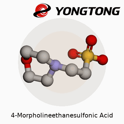 4-Morpholineethanesulfonic Acid