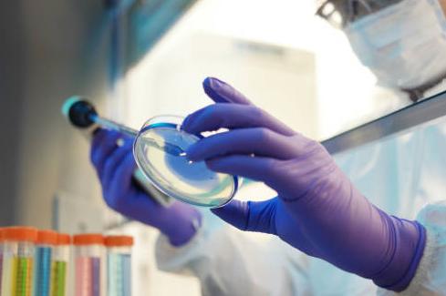 Yongtong Technology Co., Ltd