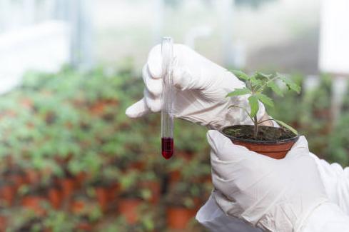 Yongtong Technology Co., Ltd