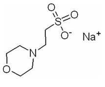 MES-sodium-salt-MS